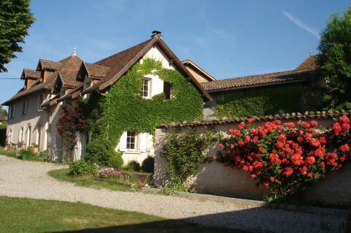 Bed & Breakfast Le Tilleul