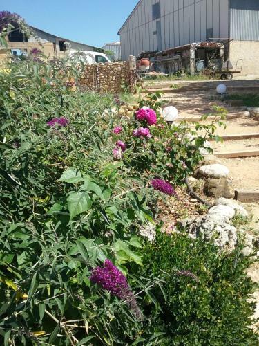 Hostal Le Petit Fabre