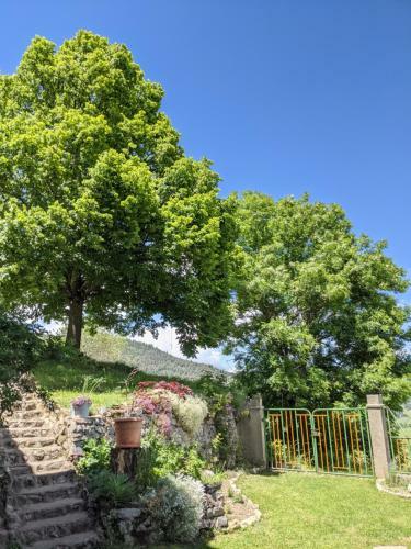 Bed & Breakfast La Caminada Vielha