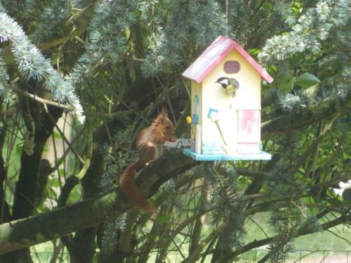 Bernafay Wood B&B