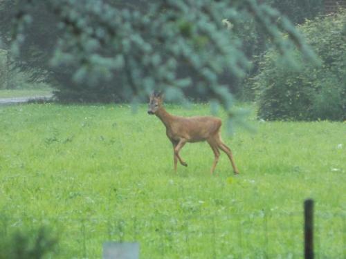 Bernafay Wood B&B