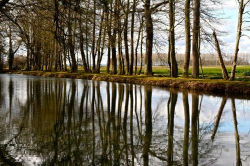 Bed & Breakfast Ch�teau De Montabert