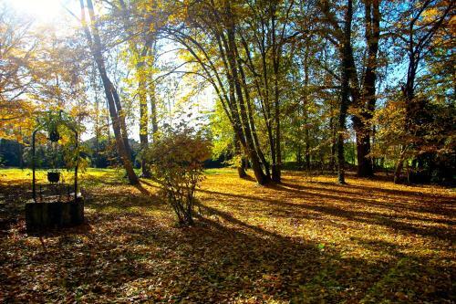 Bed & Breakfast Ch�teau De Montabert