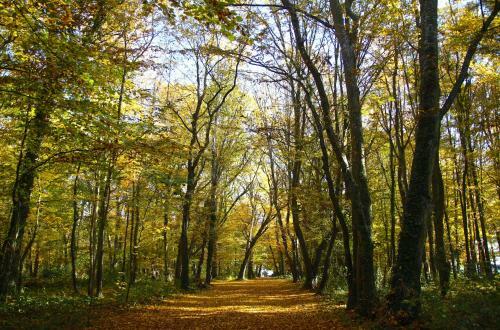Bed & Breakfast Ch�teau De Montabert