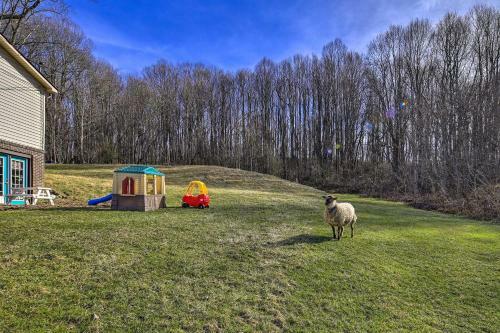 Rustic Meadowview Retreat With Furnished Deck!