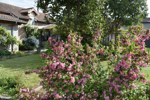 La Maison Moli�res