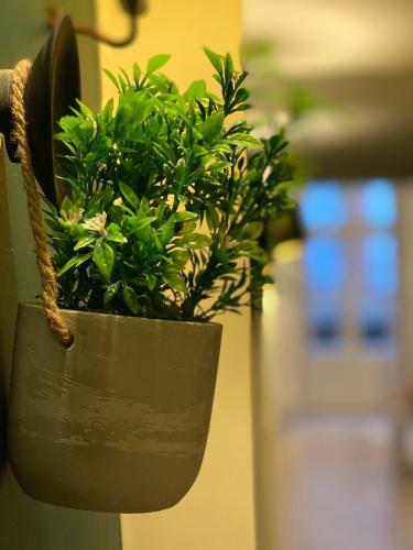 Apartamento La Parenth�se Gourmande Avec Clim Et Parking
