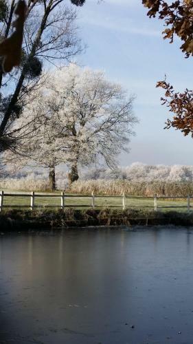 Bed & Breakfast Le Domaine Du Mijarnier