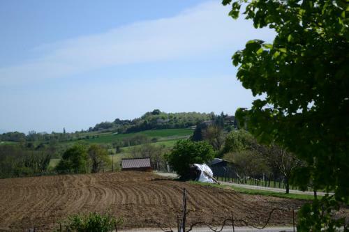 Gite Les Pins