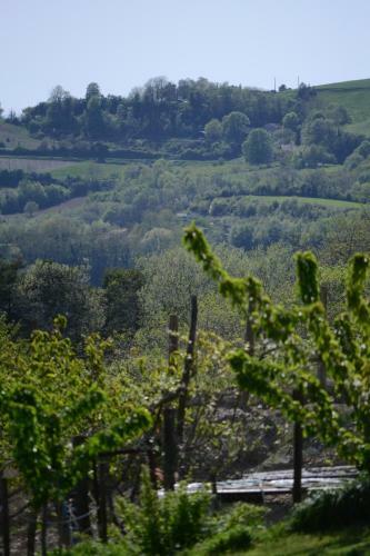Gite Les Pins