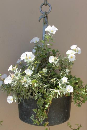 Dans Un �crin De Nature