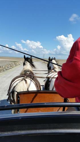 Hostal Les Chevaux De L'hippocampe