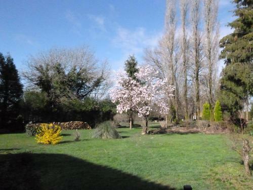 Bed & Breakfast La Maison Des Fleurs