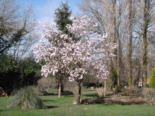 Bed & Breakfast La Maison Des Fleurs