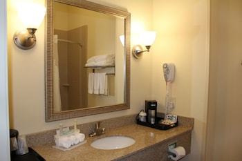 Hotel Holiday Inn Express Niles