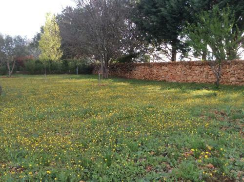 Villa Faro Provence Var
