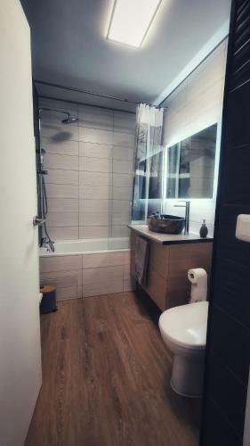 Apartamento Disneyland Exp�rience !!