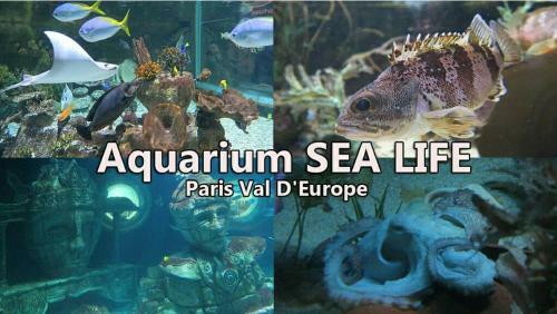 Chalet Du Lac Piscine � 5 Minutes de Disney Tgv Rer