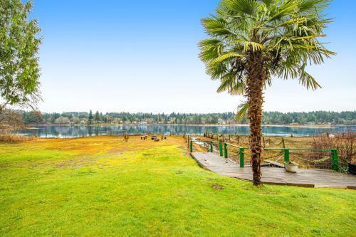 Low Tide Lagoon