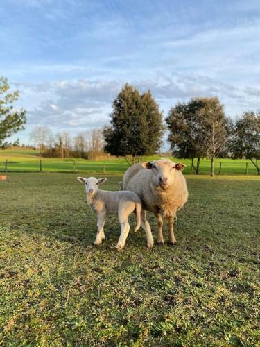 Une Pause Nature Chez Marion Et C�dric