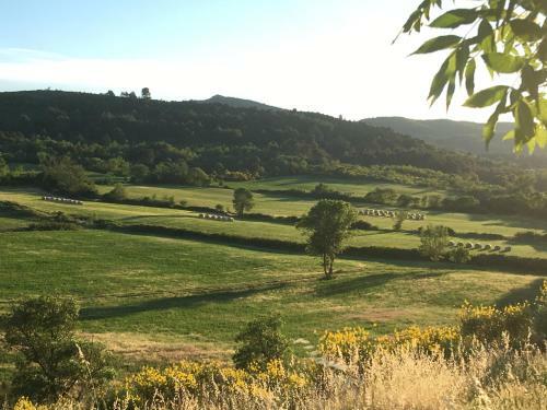 Maison Vigneronne