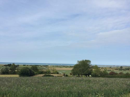 Bed & Breakfast Le Loup Dans La Bergerie