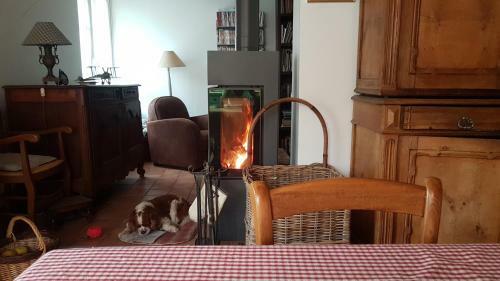 Bed & Breakfast Chambre D'h�te Montlivault / Chambord