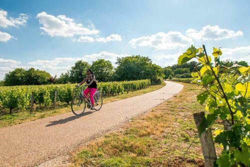 Apartamento Studio Au C?ur Des Vignes
