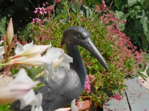 Bed & Breakfast L'arbre D'ange