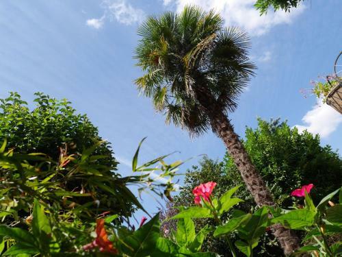Bed & Breakfast L'arbre D'ange