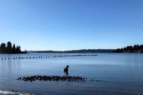 Seattle Area Studio With Fireplace-2 Mi To State Park