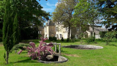 Bed & Breakfast Manoir Du Bellay
