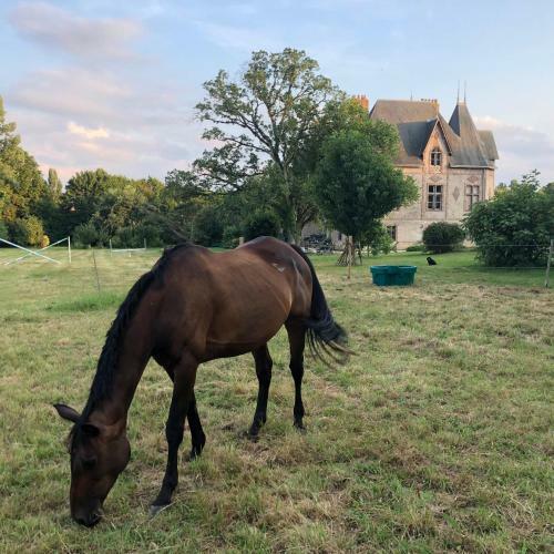 Manoir De La Chouanniere