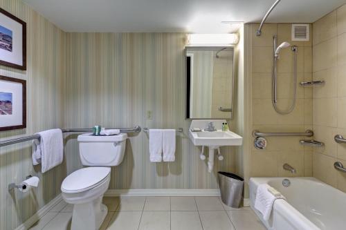 Hotel Hilton St. Louis Airport