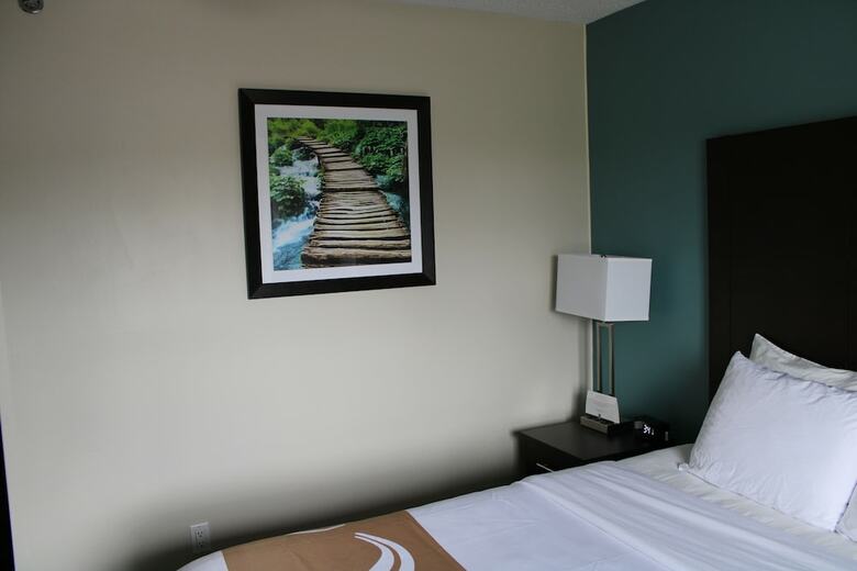 Hotel Mt. Pleasant Inn & Suites