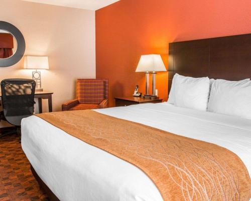 Hotel Comfort Inn & Suites And Conference Center