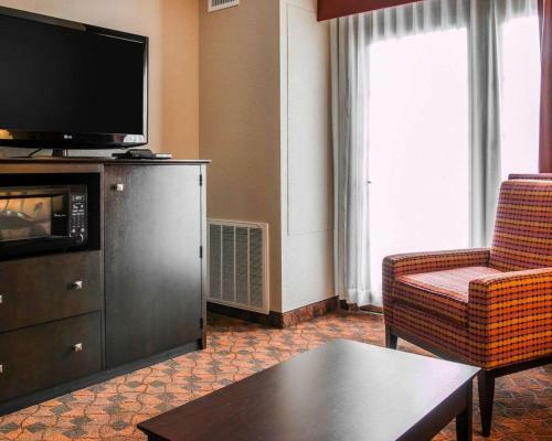 Hotel Comfort Inn & Suites And Conference Center