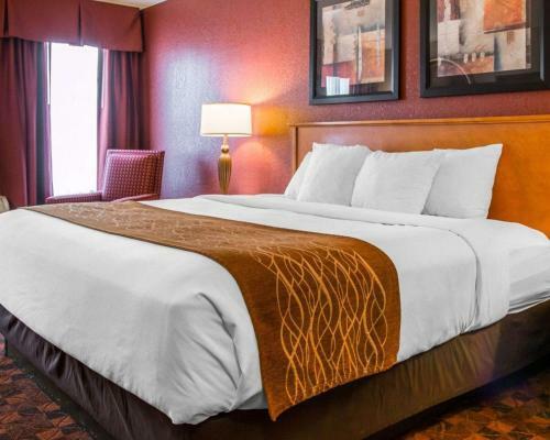 Hotel Comfort Inn & Suites And Conference Center