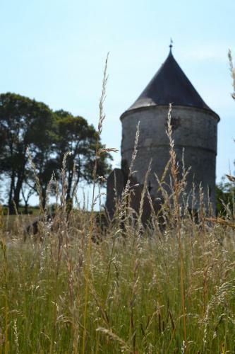 Albergue Auberge de Jeunesse-la Hulotte