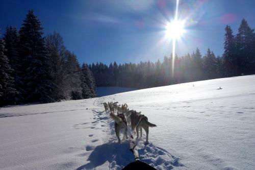 Le Petit Jura