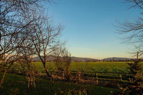Hostal Skagit Valley Farmland View Cabin