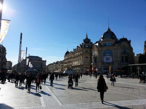 Chambre Montpellier Campanules (home Sharing)