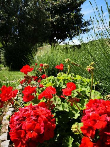 Bed & Breakfast La Petite Maison De Lingling