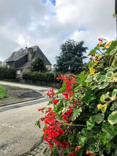 Bed & Breakfast La Tour Cach�e