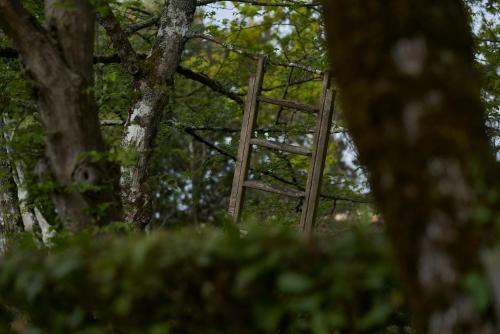 Bed & Breakfast Chasse-spleen Les Chambres