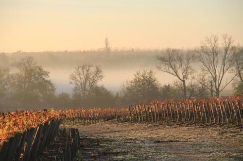 Bed & Breakfast Chasse-spleen Les Chambres