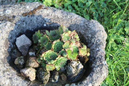 Bed & Breakfast Dans La Creuse