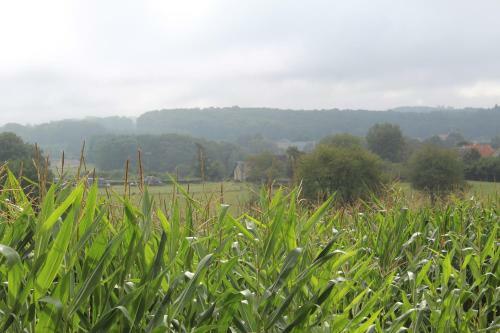 Bed & Breakfast Dans La Creuse