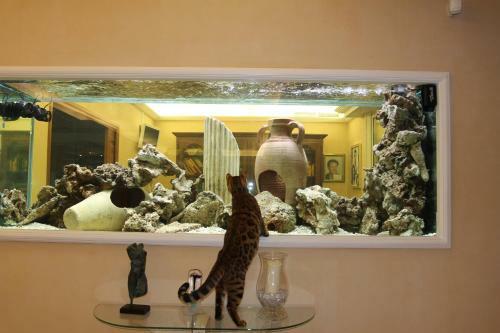 Villa Propri�t� Prestige Mougins Cannes