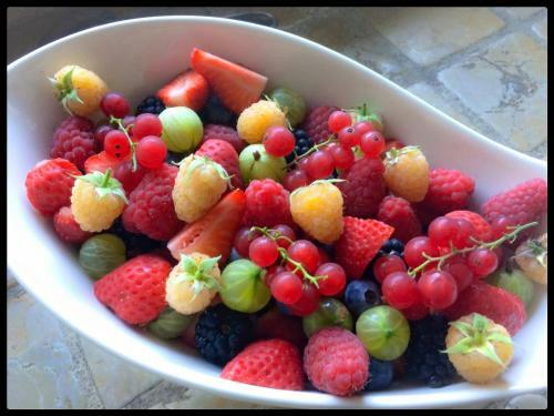 Bed & Breakfast Le Mas De Mougins